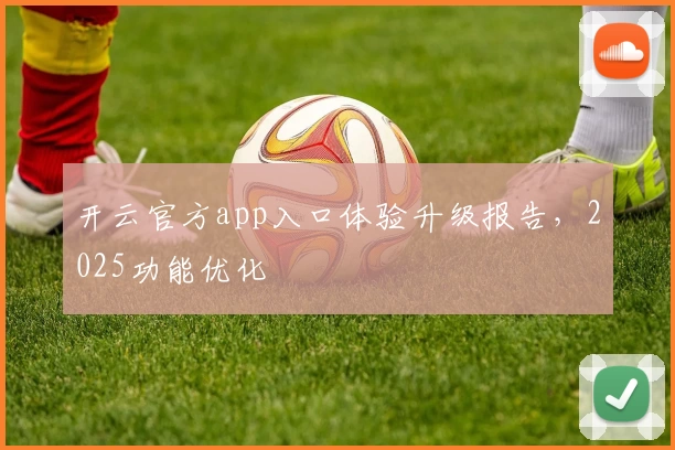 开云官方app入口体验升级报告，2025功能优化