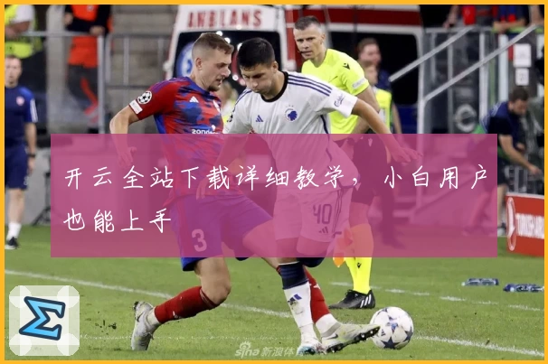 开云全站下载详细教学,小白用户也能上手