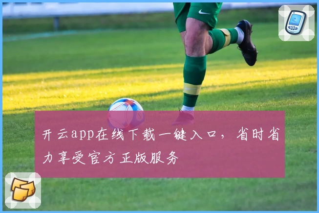 开云app在线下载一键入口，省时省力享受官方正版服务