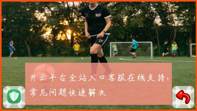 开云平台全站入口客服在线支持，常见问题快速解决